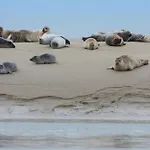 Holiday home La Baie Des Remparts Meuble Les Avocettes