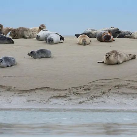 度假居 La Baie Des Remparts Meuble Les Avocettes
